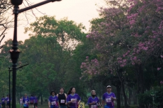 fight-running-for-disabled-ss3-099