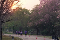 fight-running-for-disabled-ss3-124