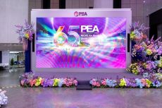 pea65th-024