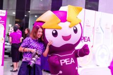 pea65th-060