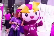 pea65th-061