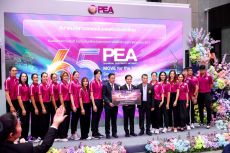 pea65th-113